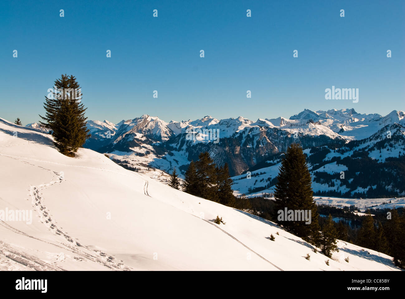 Scène d'hiver dans les Alpes suisses, vue d'fruggelenstock, Schwyz, Suisse Banque D'Images