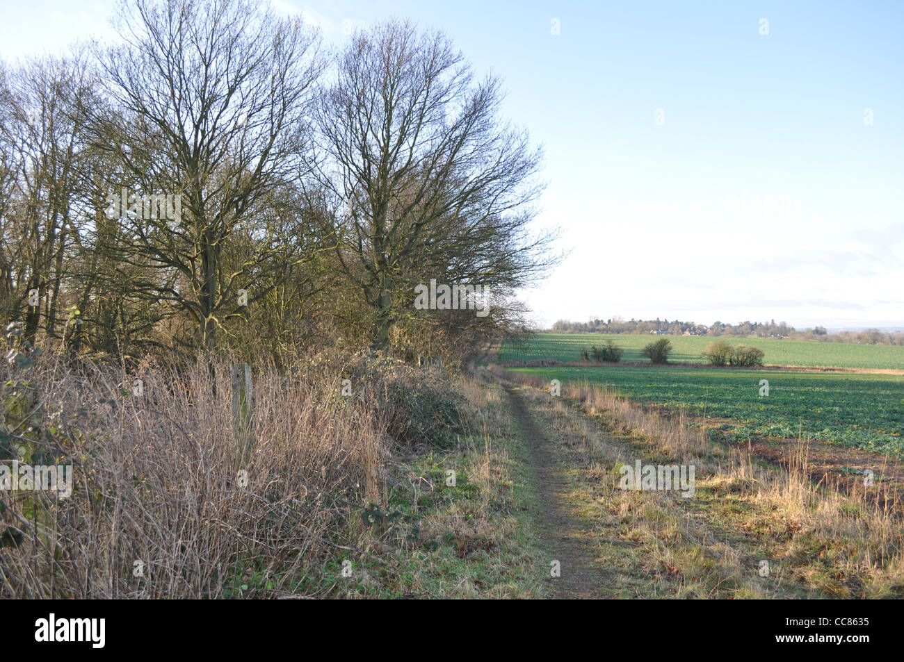 HS2 Offchurch Warwickshire, le chemin de fer va voyager à travers ici, de gauche à droite, le village de Offcurch est dans l'arrière-plan Banque D'Images