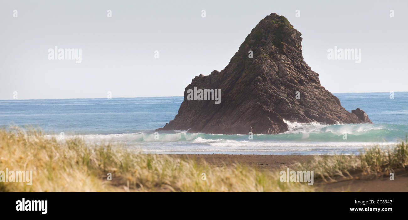 Sable noir, l'herbe et surfez karekare kare kare beach Waitakere Ranges national park Auckland New Zealand North Island Banque D'Images