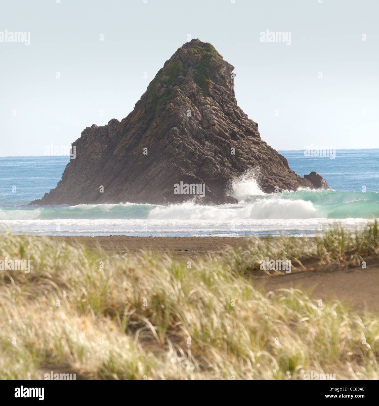 Sable noir, l'herbe et surfez karekare kare kare beach Waitakere Ranges national park Auckland New Zealand North Island Banque D'Images