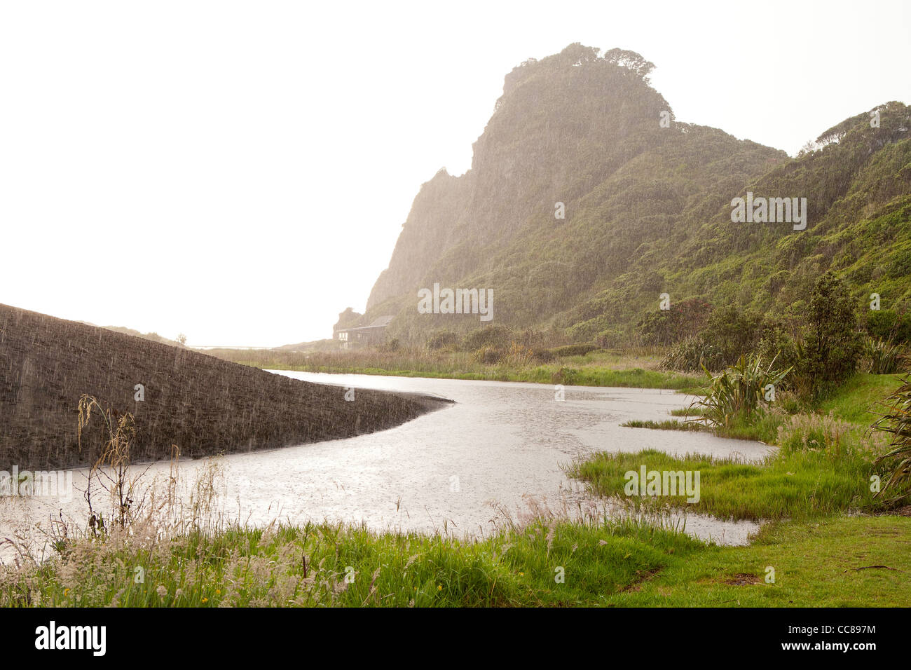 Karekare kare kare beach Waitakere Ranges national park Auckland New Zealand North Island Banque D'Images