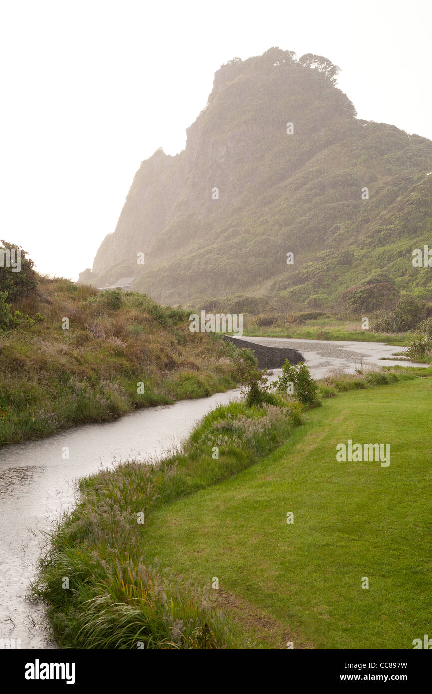 Karekare kare kare beach Waitakere Ranges national park Auckland New Zealand North Island Banque D'Images