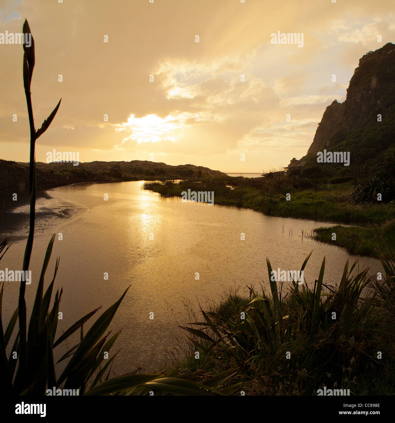 Kari kari karikari sunset parking plage Waitakere Ranges national park Auckland New Zealand North Island Banque D'Images