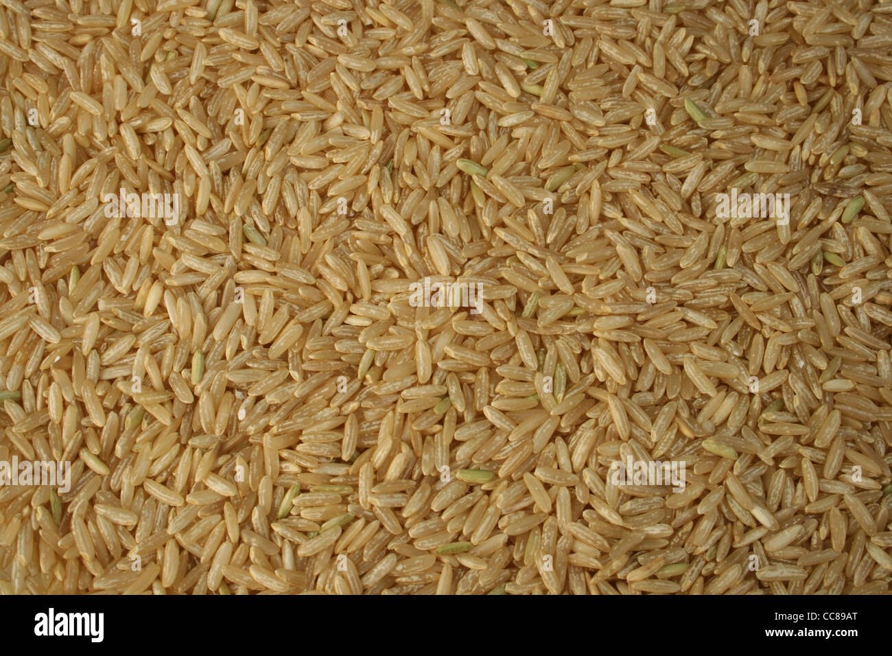 Arrière-plan de riz brun sec en bonne santé Banque D'Images