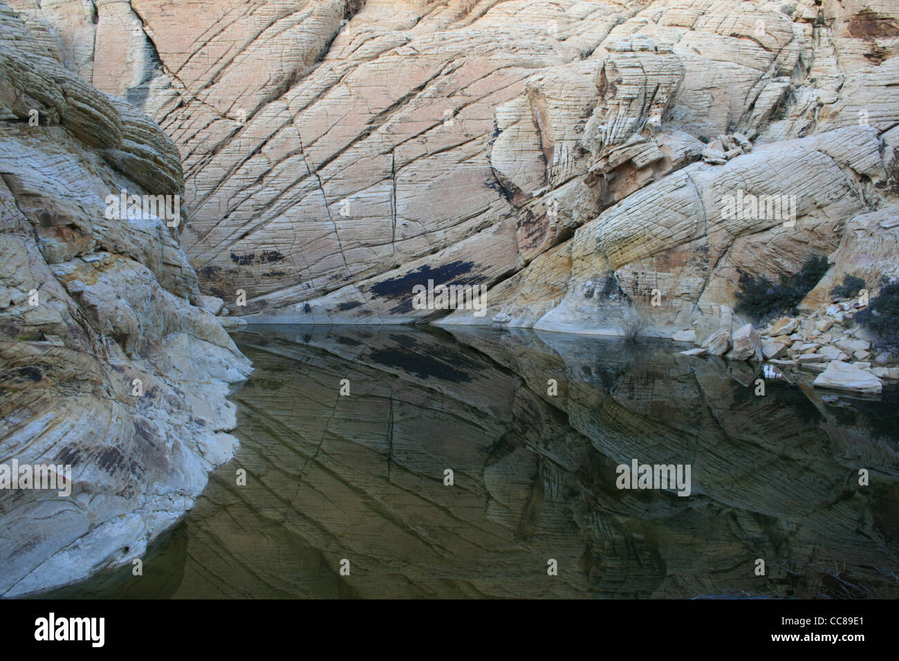 L'eau du réservoir de calicot trou dans la zone de conservation de Red Rocks, Nevada Banque D'Images