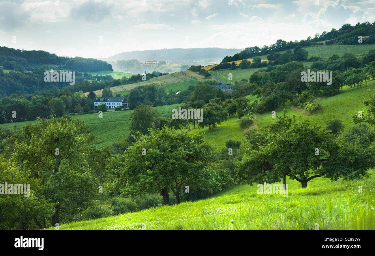 Vue paysage sur les vertes collines du Luxembourg, l'Europe en été Banque D'Images