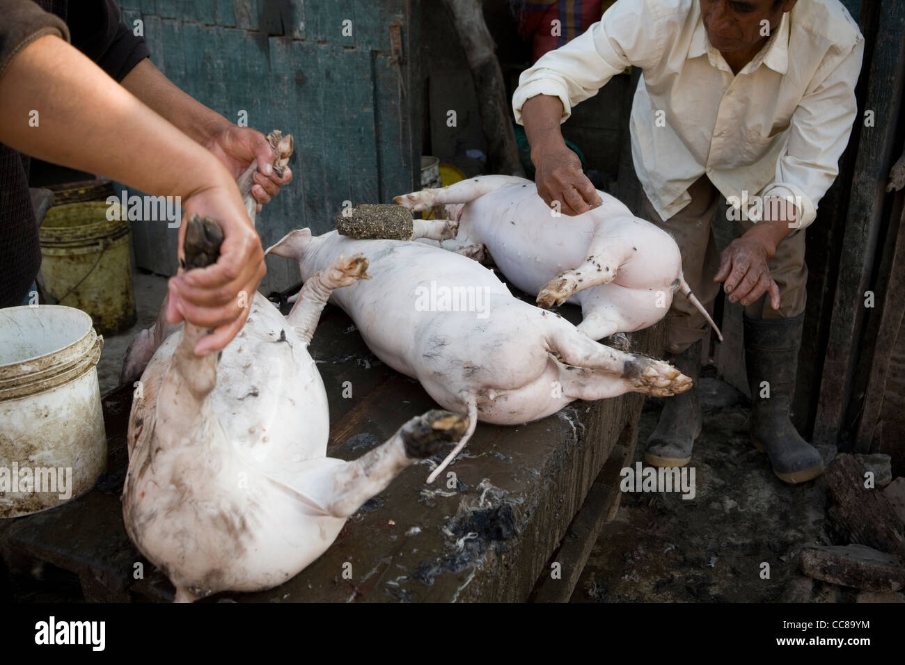 Nettoyer les travailleurs à un abattoir de porcs à Lima, Pérou, Amérique du Sud. Banque D'Images