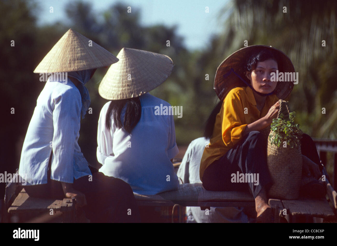 Trois femmes portant coolie hats sur moto taxi Delta du Mékong Vietnam Banque D'Images