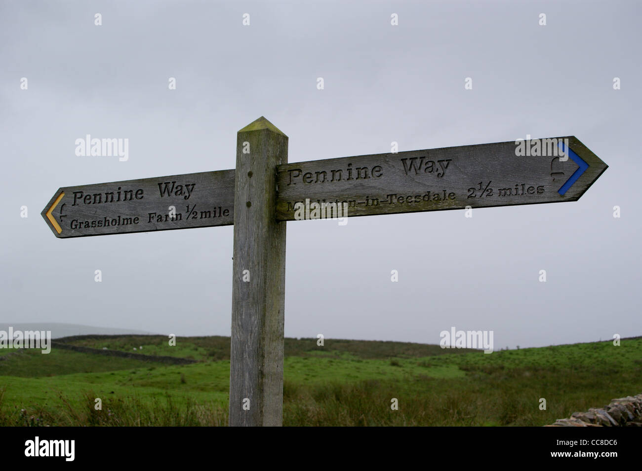 Sur le sentier Pennine Way entre Grassholme Farm et Middleton-in-Teesdale, County Durham, Angleterre Banque D'Images