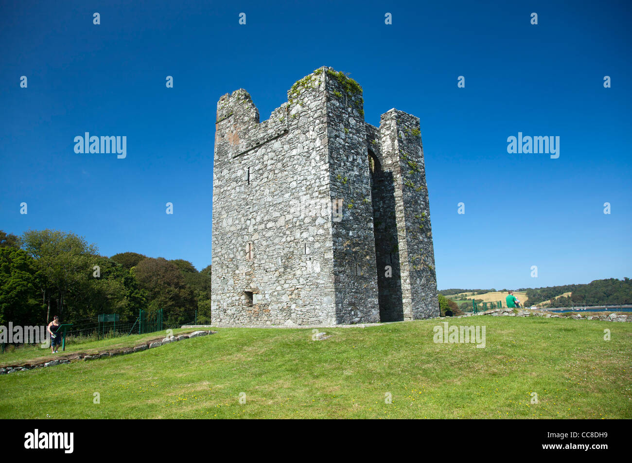 Le 15ème siècle maison-tour de Audley's Castle, Château Ward Estate, comté de Down, Irlande du Nord. Banque D'Images