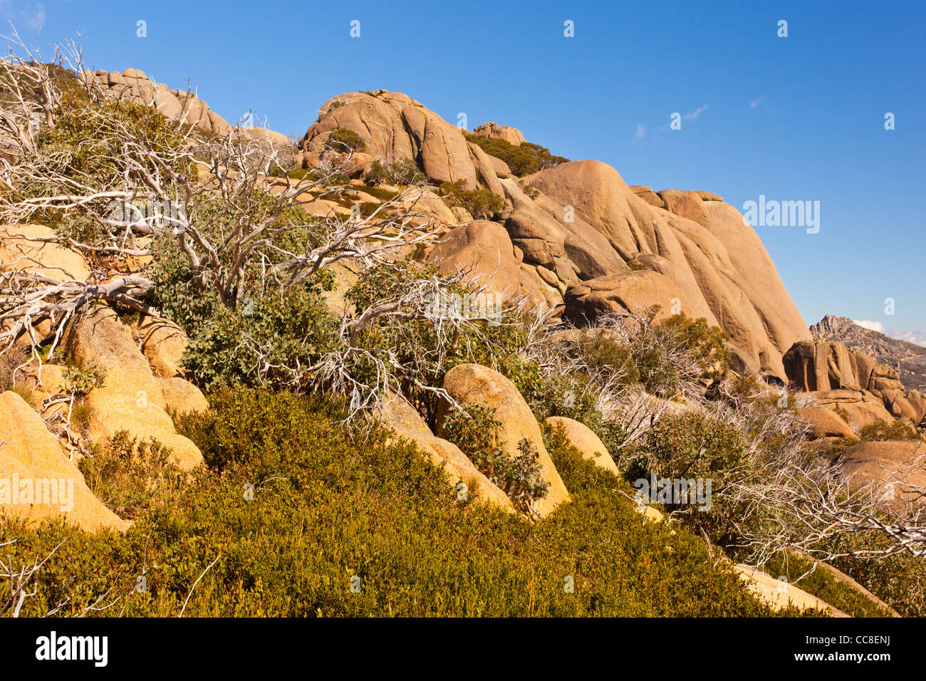 Les affleurements de granit de la bosse à Mount Buffalo, Mount Buffalo de la Victorian Alps, du nord-est de Victoria, Australie Banque D'Images