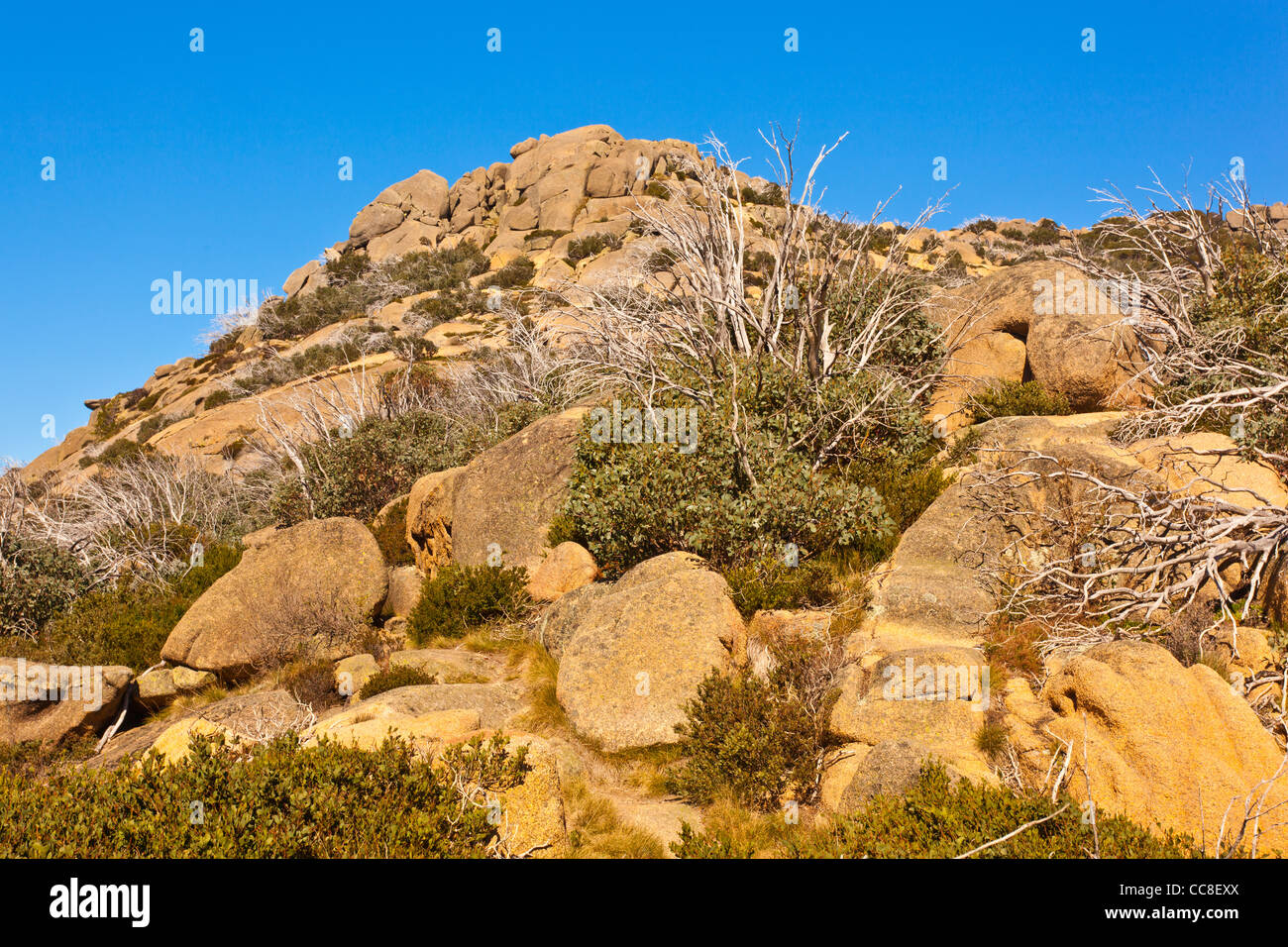 Les affleurements de granit de la bosse à Mount Buffalo, Mount Buffalo de la Victorian Alps, du nord-est de Victoria, Australie Banque D'Images