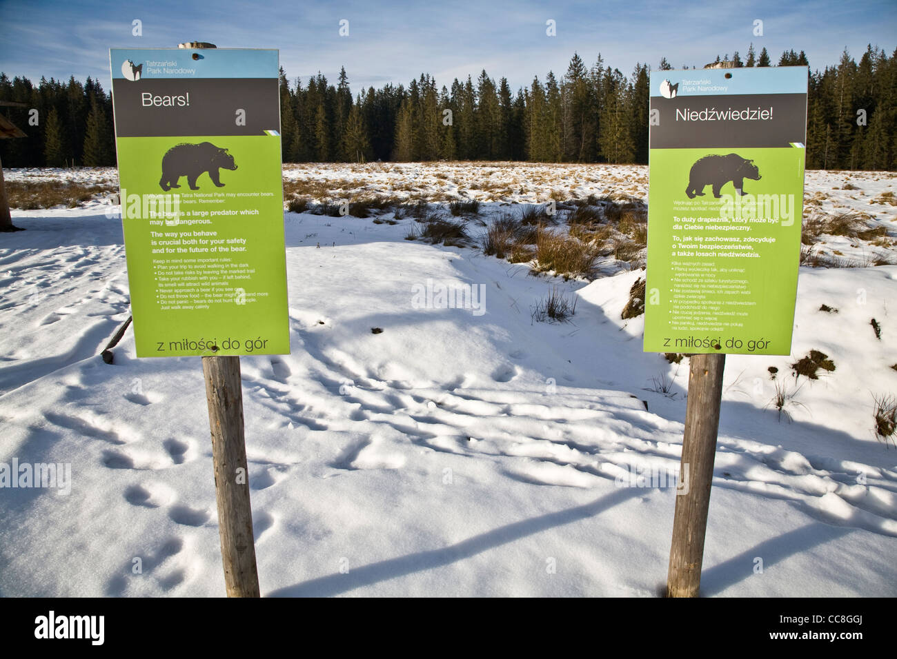 Panneaux d'avertissement, les ours sauvages, Montagnes Tatra, près de Zakopane, Pologne Banque D'Images