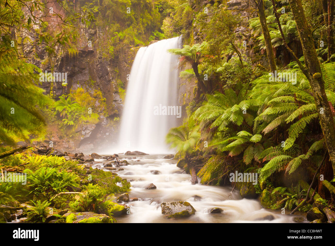 Hopetoun Falls sur la rivière Aire dans le Grand Parc National d'Otway près de Lavers Hill, Great Ocean Road, côte sud-ouest de Victoria, Australie Banque D'Images