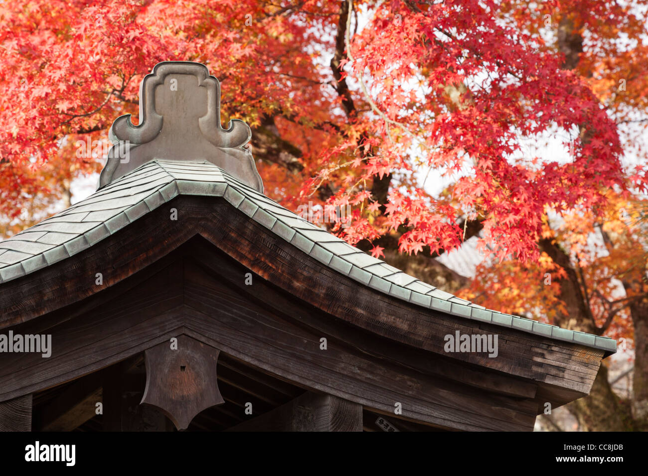 Le toit d'un petit sanctuaire sur un fond de feuilles d'automne à Arashiyama, dans la banlieue ouest de Kyoto, au Japon. Banque D'Images