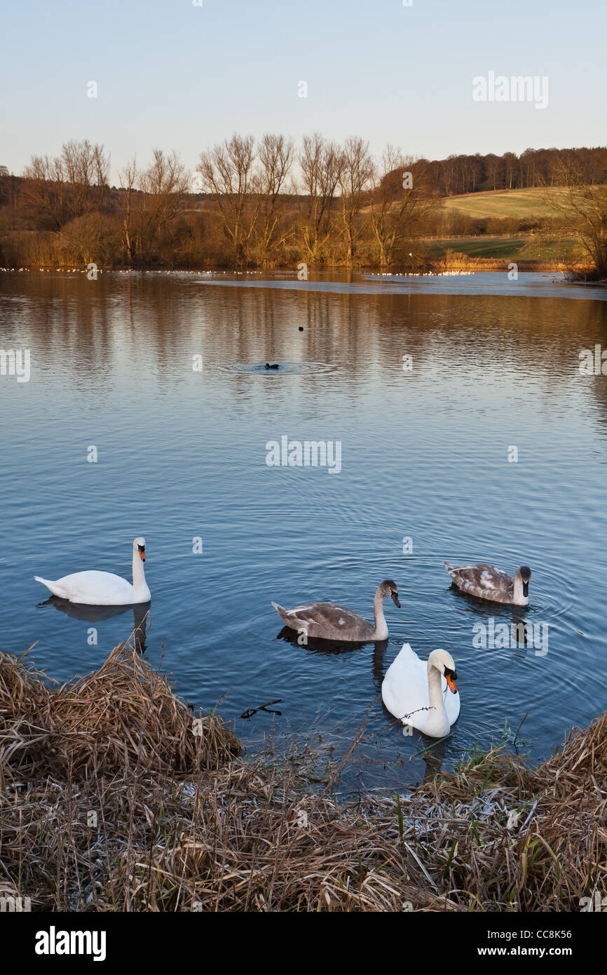 Lac Shardeloes, Amersham. Le HS2 tunnel fera passer directement sous ici. Banque D'Images