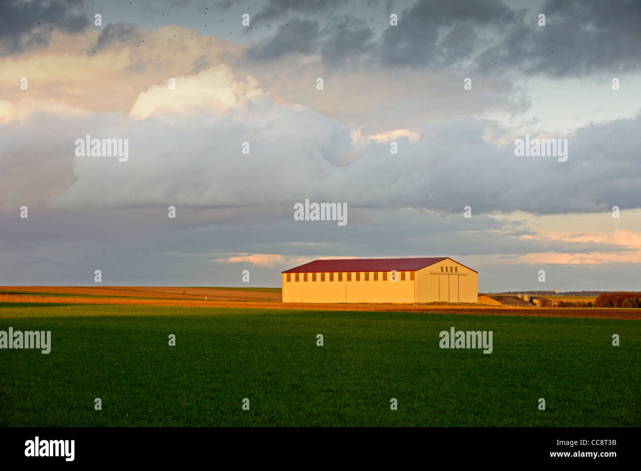 Grange sous un ciel d'orage, Marne, Champagne, France Banque D'Images Grange sous un ciel d'orage, Marne, Champagne, France Banque D'Images