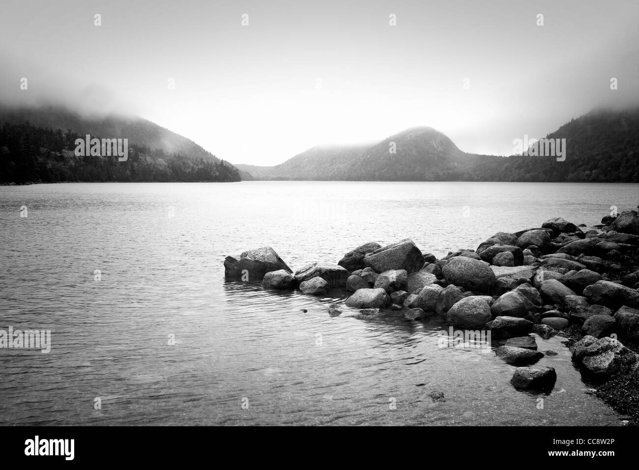 Un jour de pluie à l'étang de la Jordanie dans l'Acadia National Park, Maine. Banque D'Images