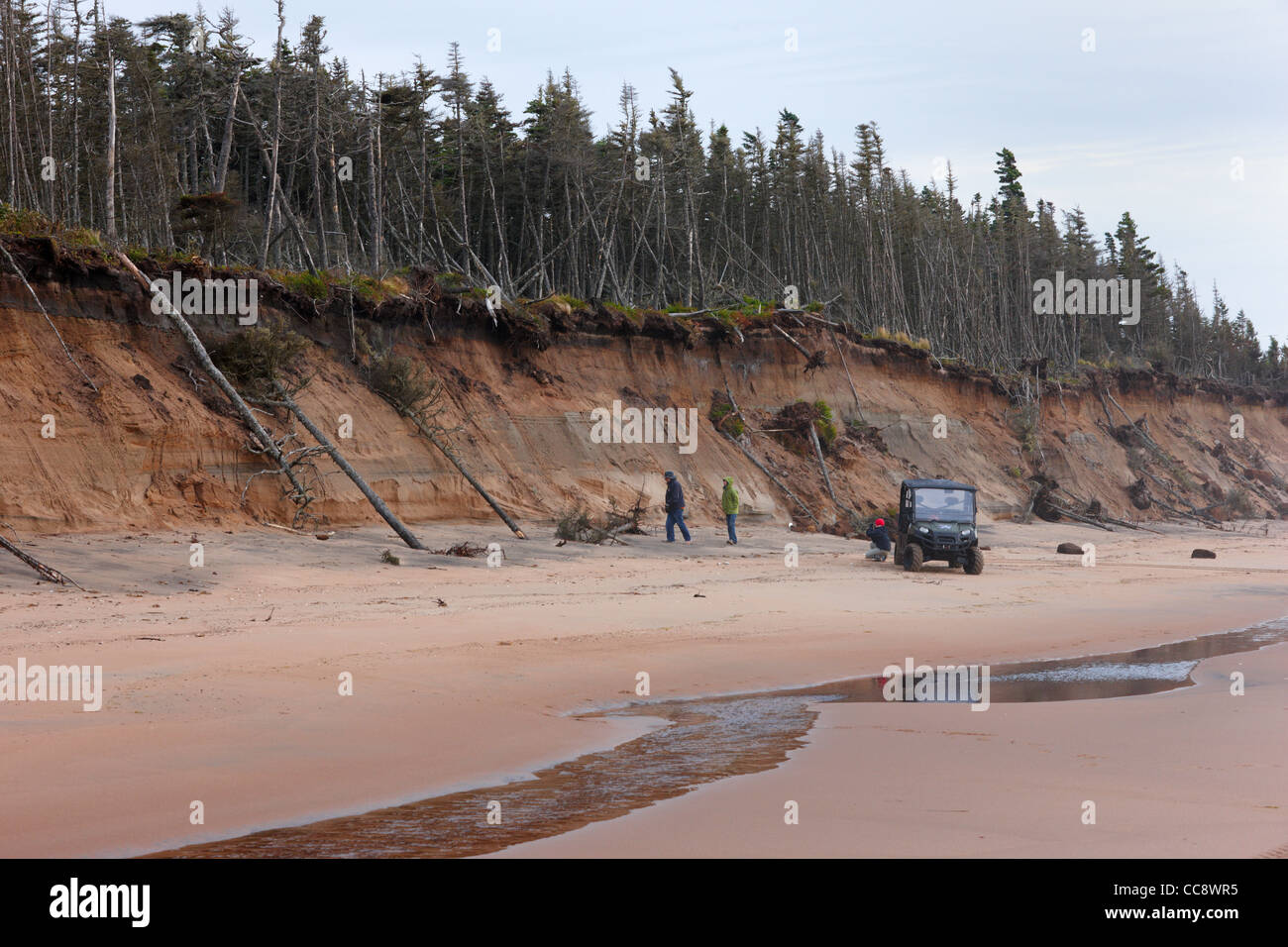 Baie de Saint Lawrence plage près de Kegaska, Québec, Canada Banque D'Images