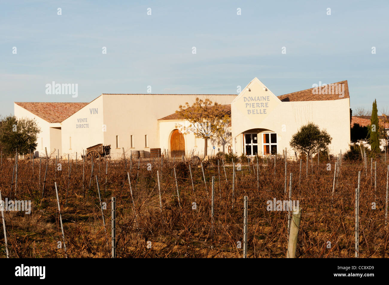 Les producteurs de vin du Domaine de Pierre Belle près de Béziers, Languedoc, dans le sud de la France. Banque D'Images