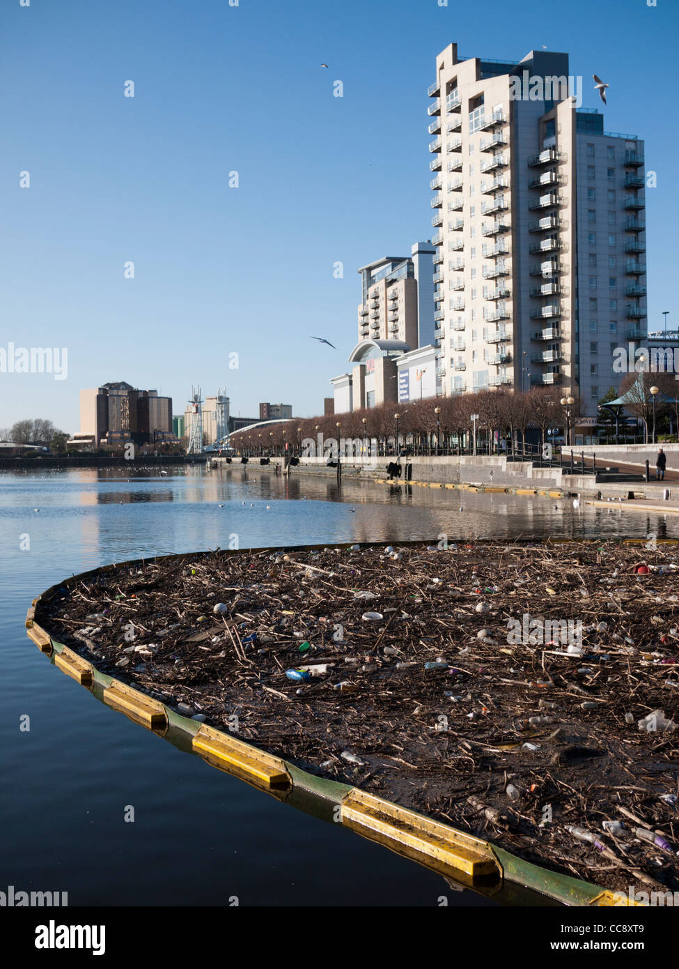 Recueillir des ordures dans l'eau à Salford Quays Manchester England UK Banque D'Images