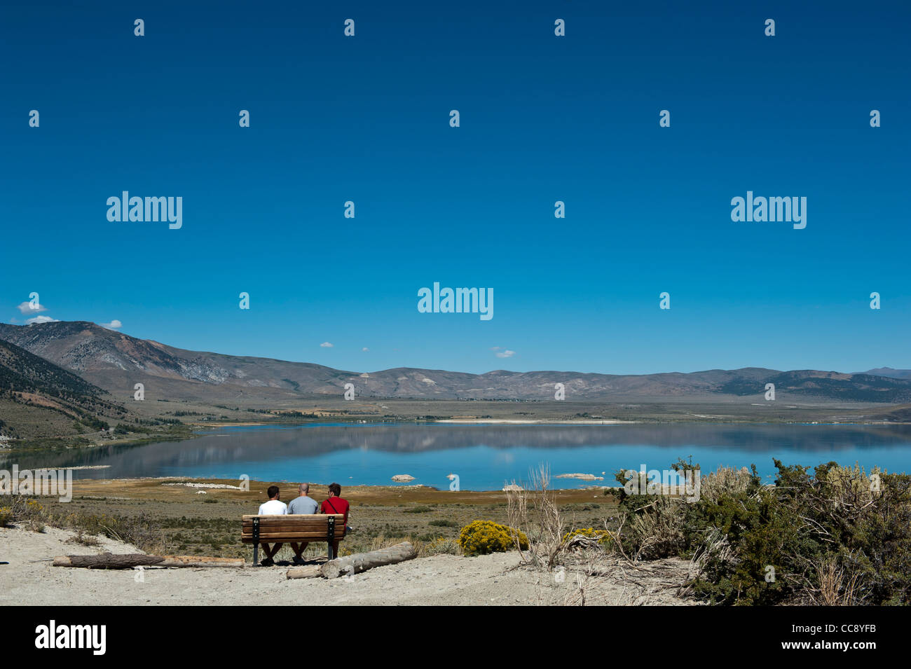 Lac mono, en Californie. USA Banque D'Images