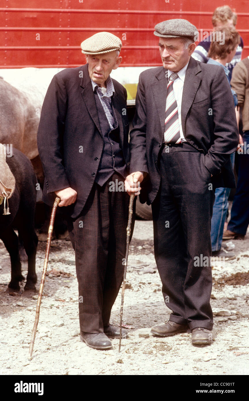 Deux agriculteurs à l'élevage de l'étude d'un pays juste bovins Co Kerry en Irlande Banque D'Images