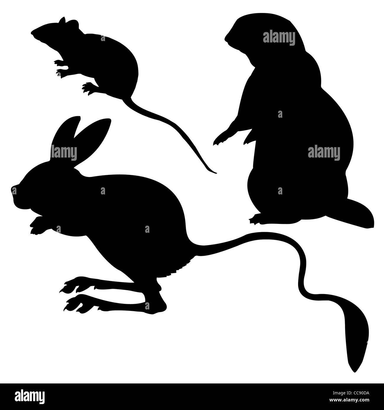 Animal silhouettes sur fond blanc Banque D'Images