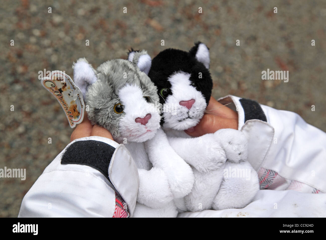 Girl holding remorquer des peluches peluche chats Banque D'Images