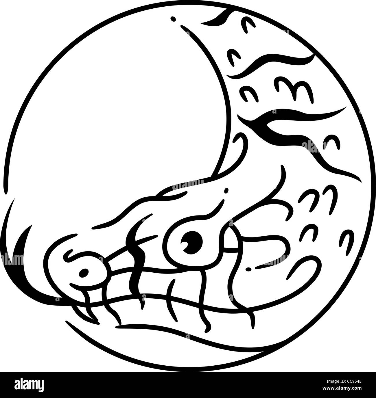 Illustration symbolisant l'année du Serpent Banque D'Images