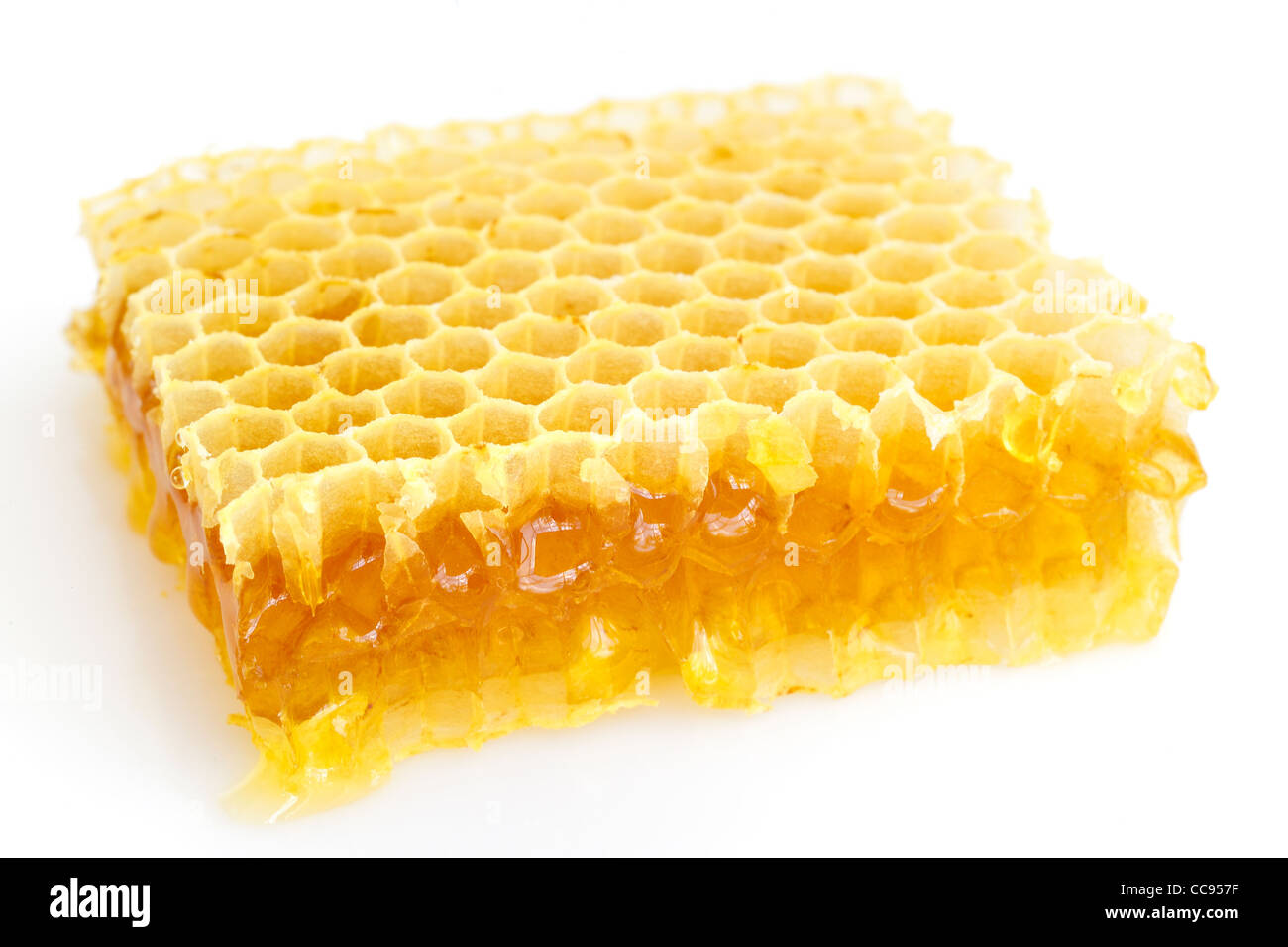 Honeycomb isolated on white Banque D'Images