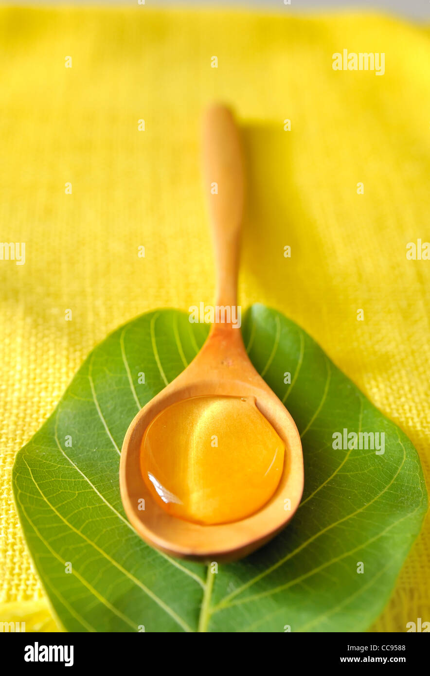 miel d’Acacia Banque D'Images