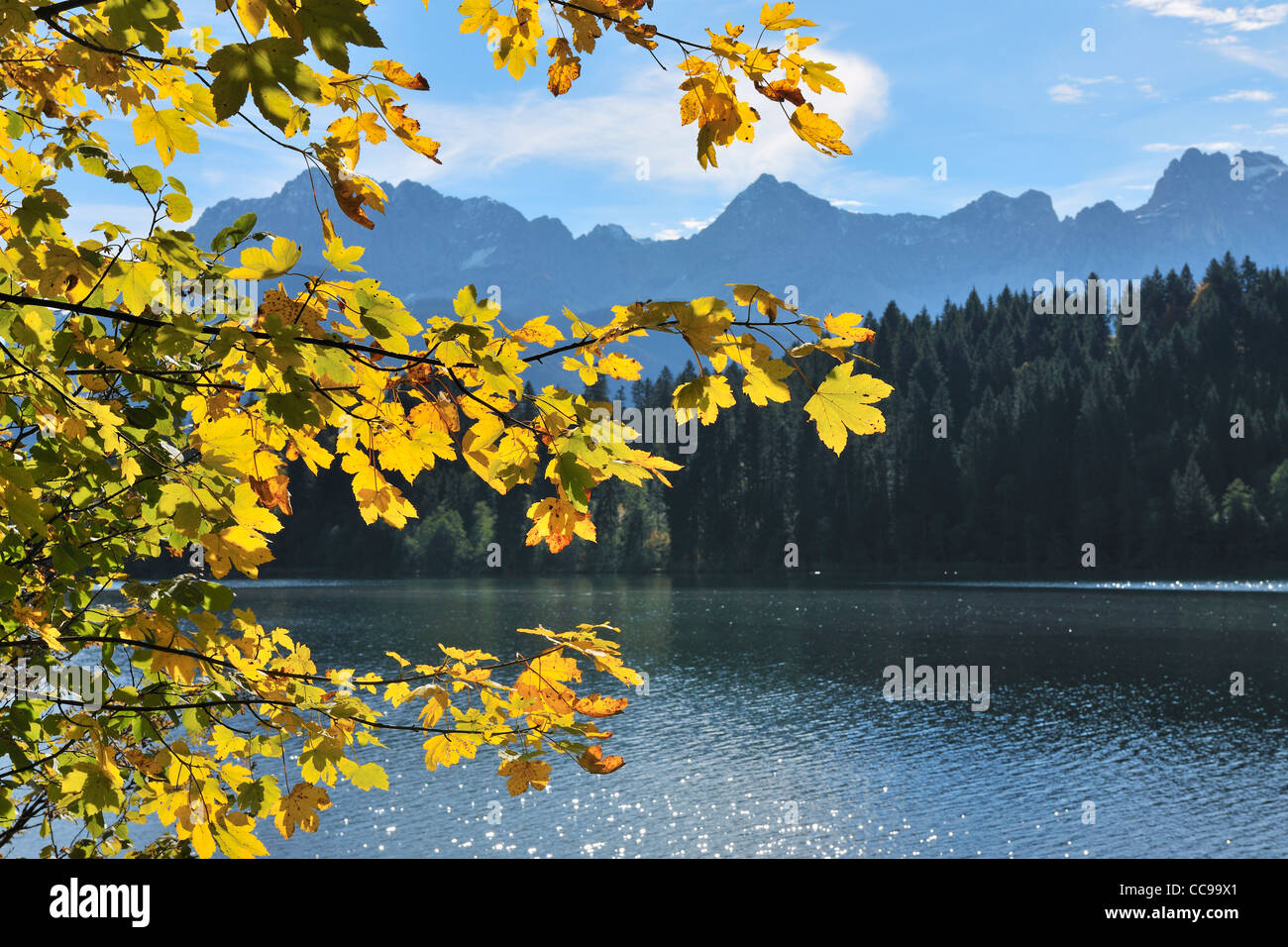 Feuilles d'érable en automne, lac Barmsee, gamme de Karwendel, Kruen, Haute-Bavière, Bavière, Allemagne Banque D'Images