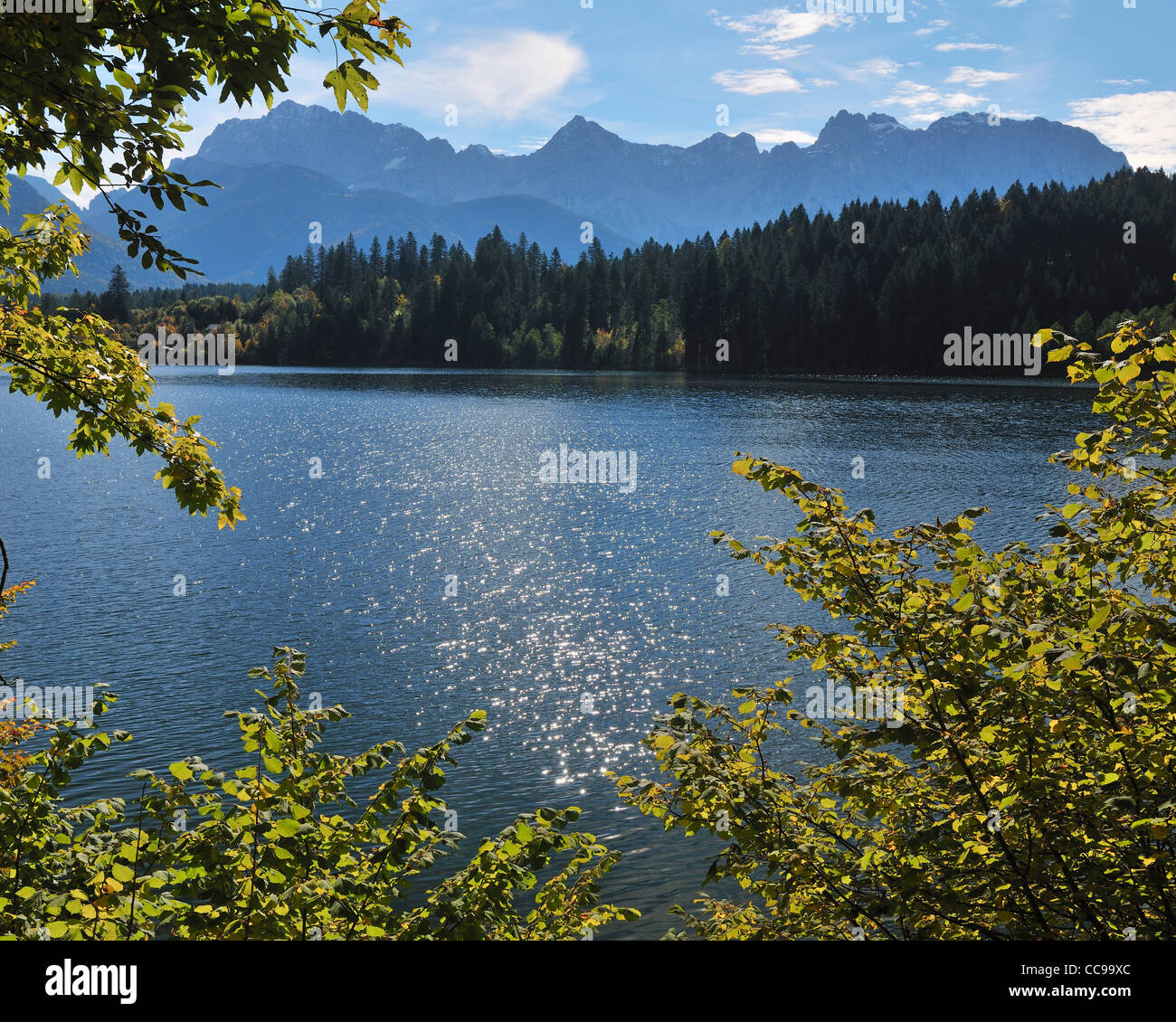 Les feuilles d'Automne, lac Barmsee, gamme de Karwendel, Kruen, Haute-Bavière, Bavière, Allemagne Banque D'Images