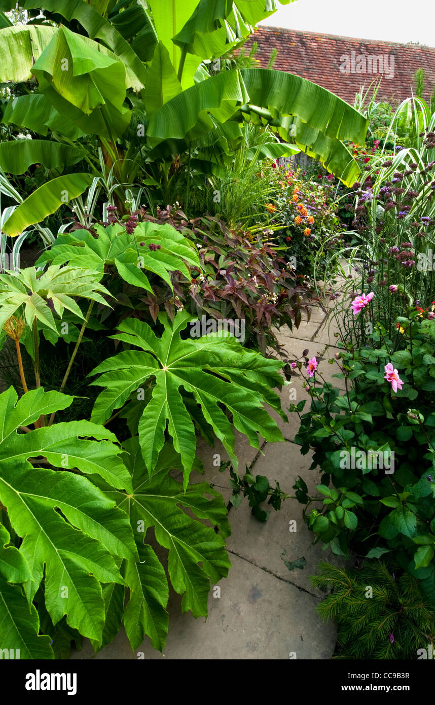 Un sentier de pierre menant, plantes tropicales luxuriantes. Banque D'Images