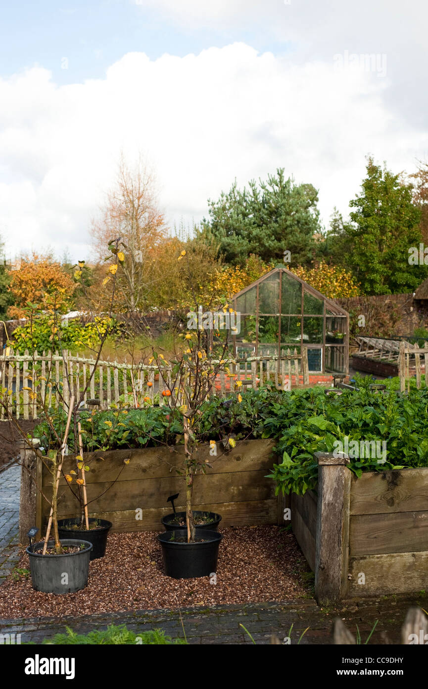 Les fruits et légumes dans le jardin de l'automne, RHS Rosemoor, Devon, Angleterre, Royaume-Uni Banque D'Images