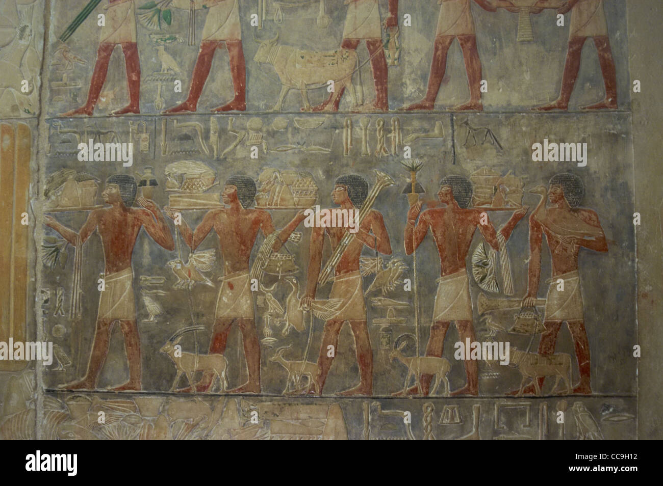 Mastaba de Ptahhotep et Akhethotep. Relief représentant l'exécution de serveurs de nourriture funéraire Ptahhotep. Mur ouest. Saqqara. L'Égypte Banque D'Images