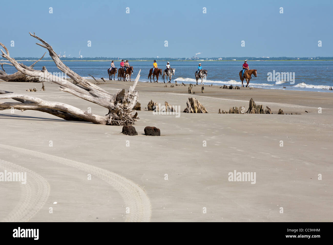 Les touristes de l'équitation sur Driftwood Beach sur Jekyll Island, Géorgie Banque D'Images