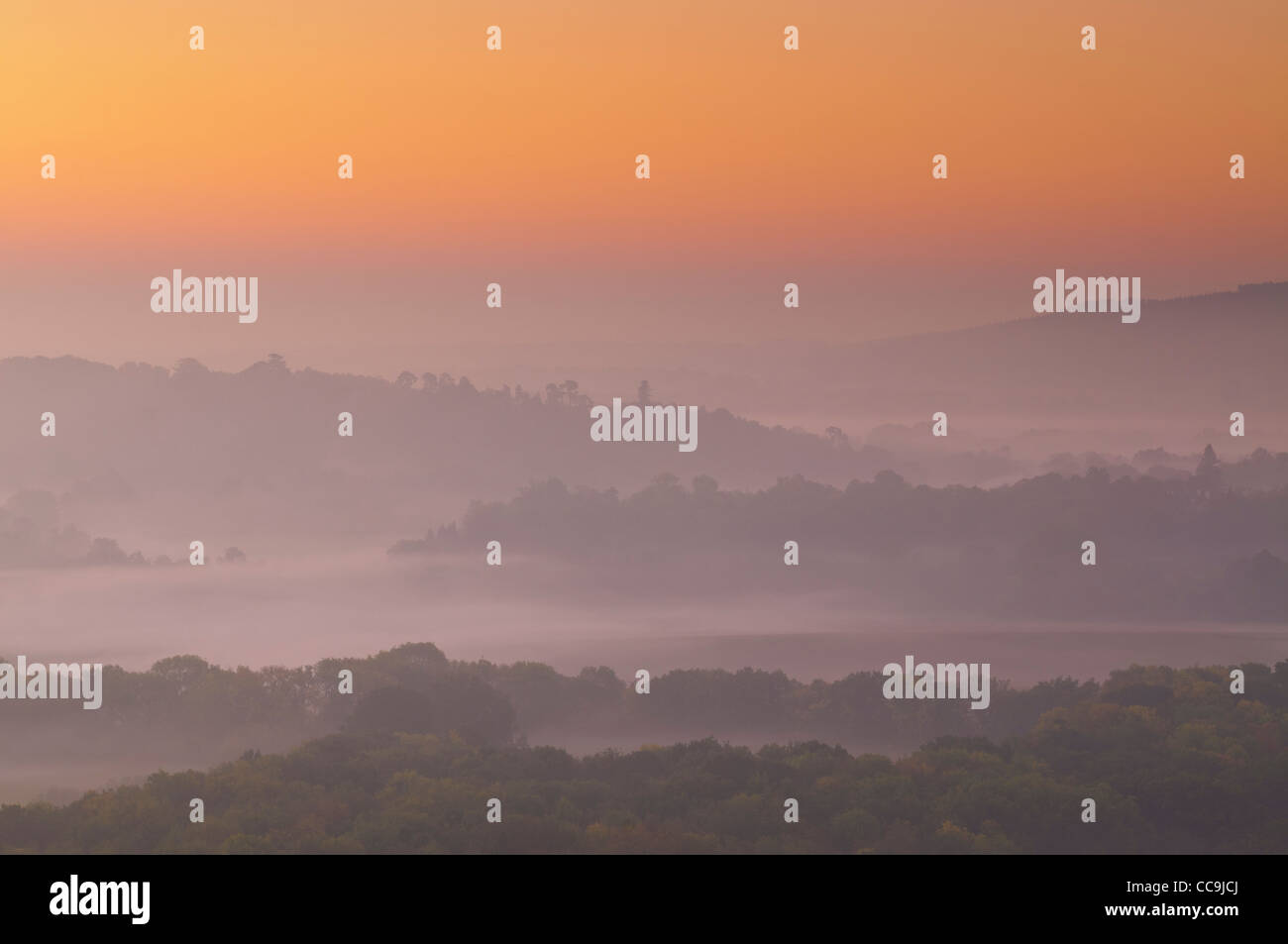 Vue depuis le bord de Ranmore Common, près de Dorking dans le Surrey, UK Banque D'Images