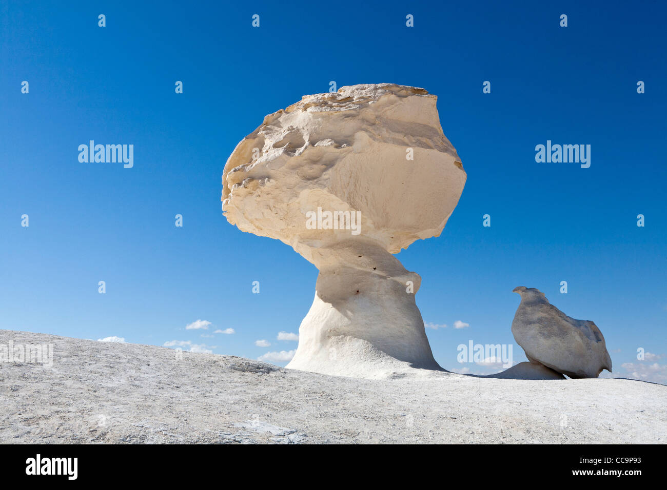 Inselbergs dans le désert blanc, près de Farafra Oasis, Egypte Afrique Banque D'Images