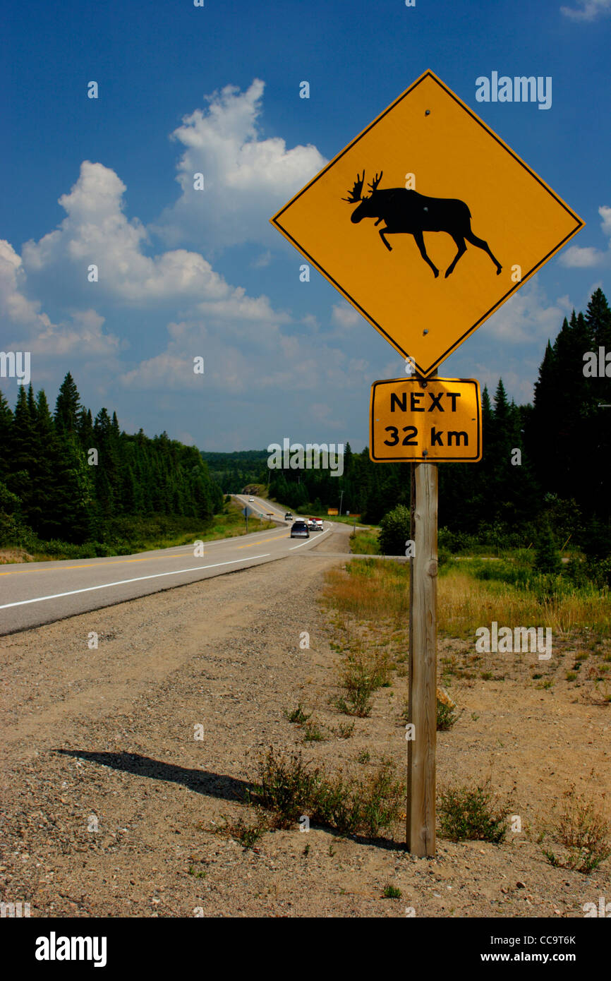 Moose crossing traffic sign Ontario Canada Banque D'Images