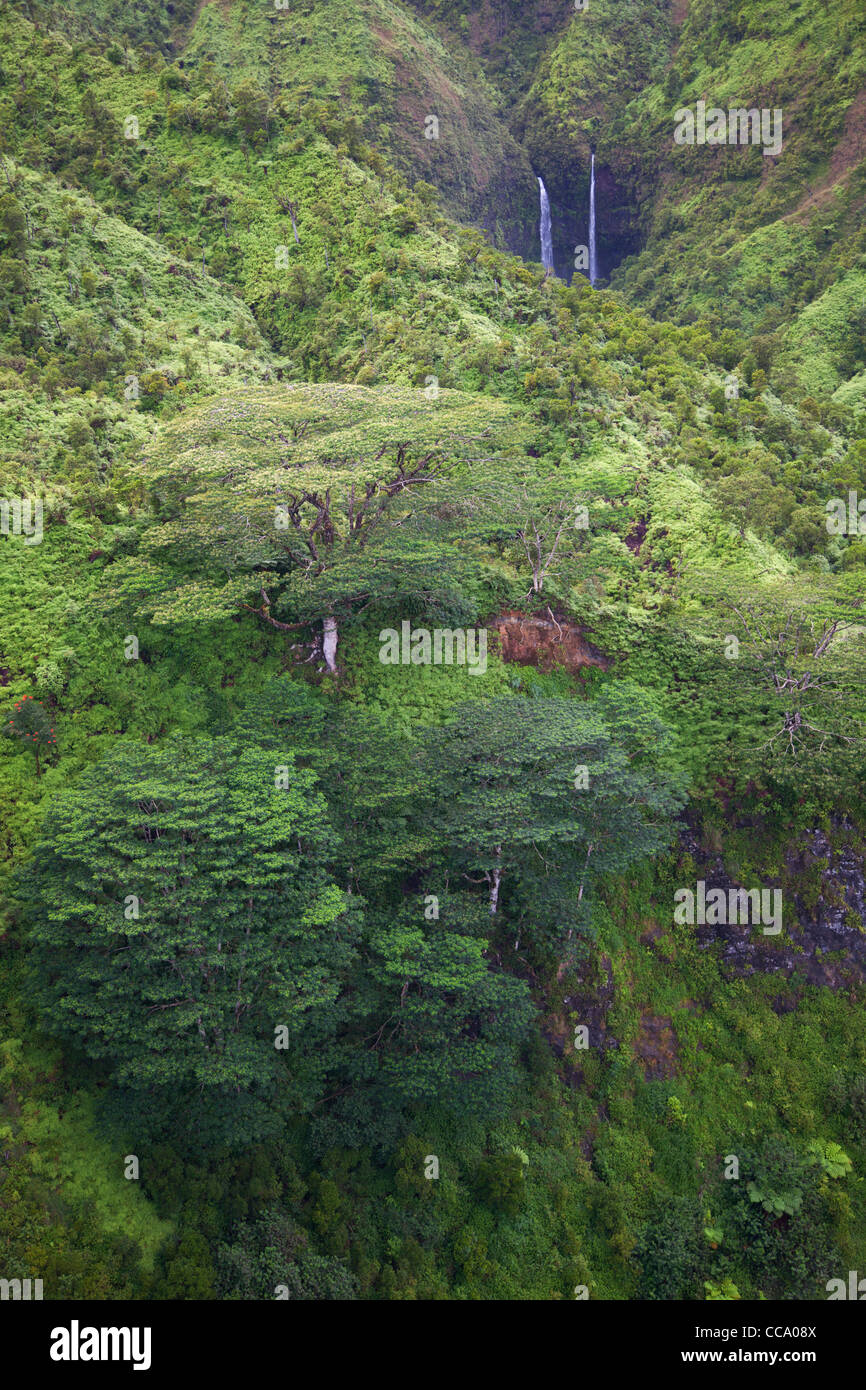 Vue aérienne de cascades, Kauai, Hawaï. Banque D'Images