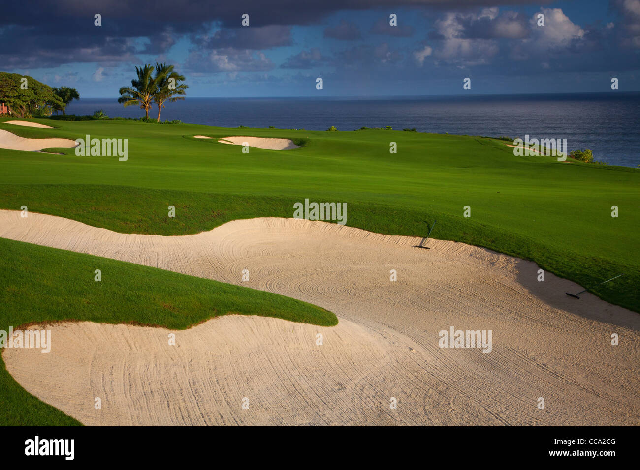 Le 14e trou au Makai Golf Course, Princeville, Kauai, Hawaï. Banque D'Images