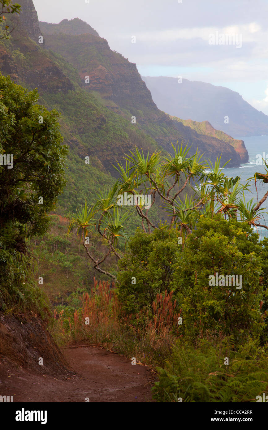 De la côte de Na Pali Kalalau Trail, Kauai, Hawaï. Banque D'Images