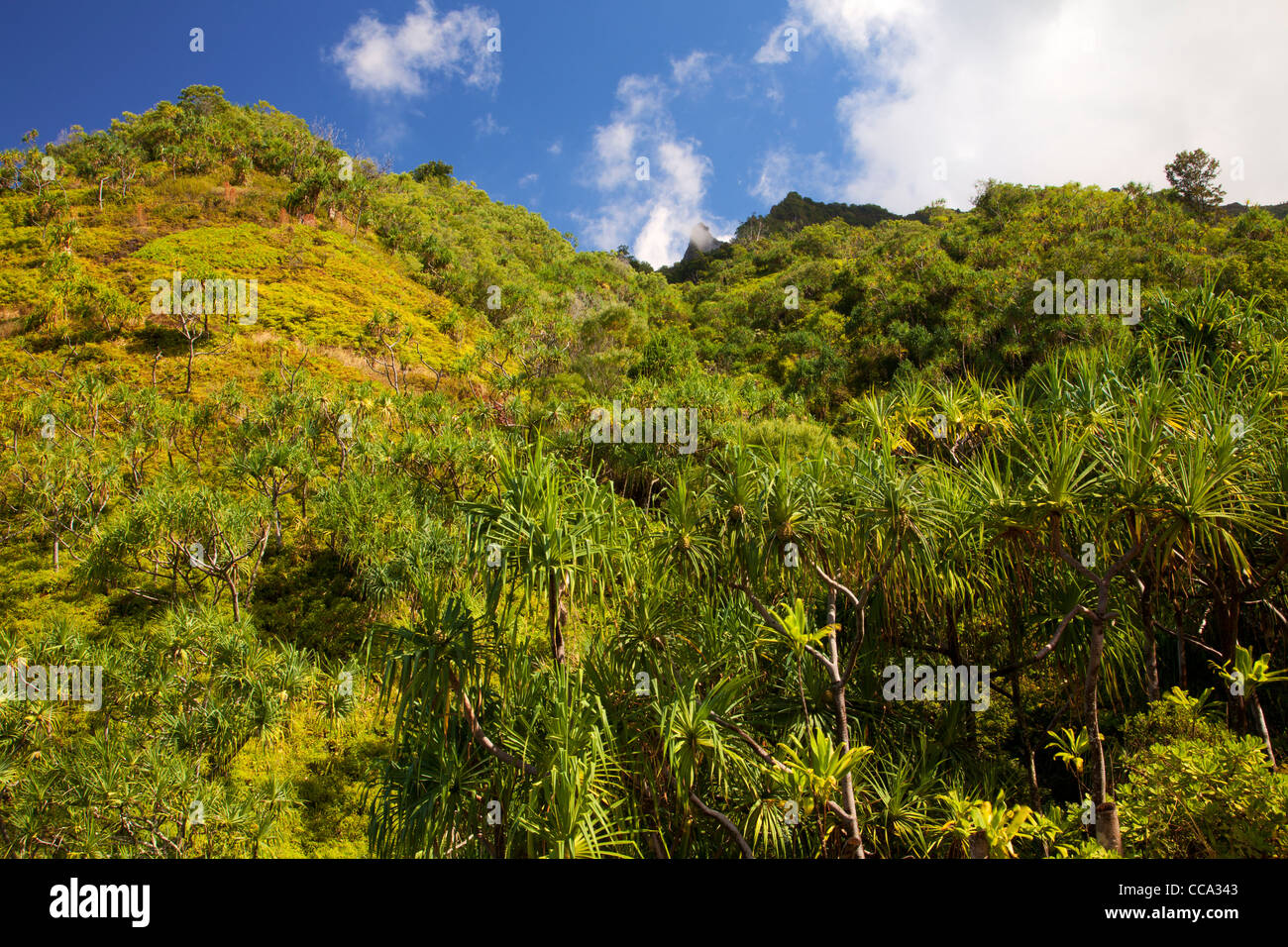 De la côte de Na Pali Kalalau Trail, Kauai, Hawaï. Banque D'Images
