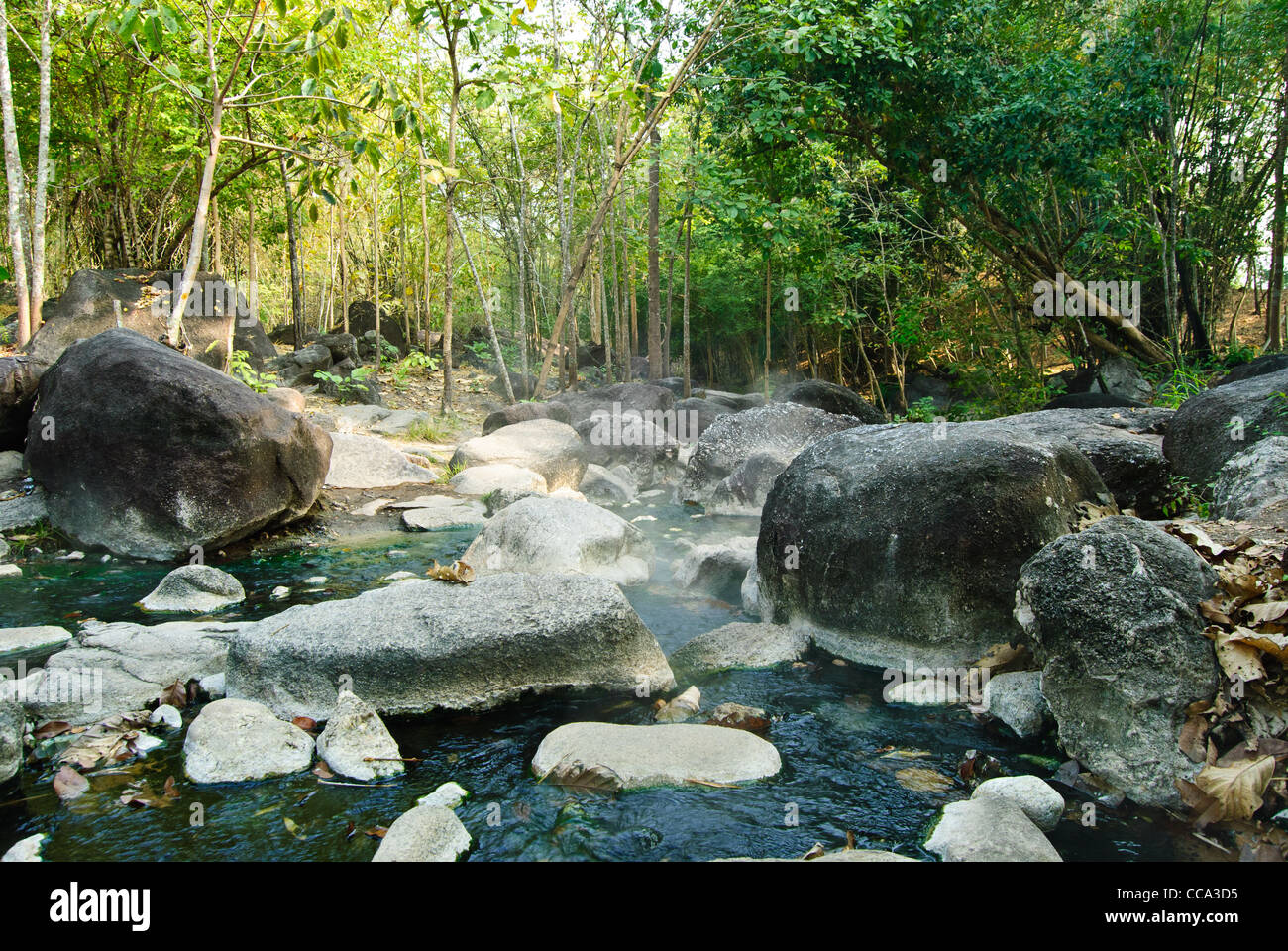 La source d'un célèbre Bo Khlueng Hot spring dans Suan Phueng, Ratchaburi Banque D'Images