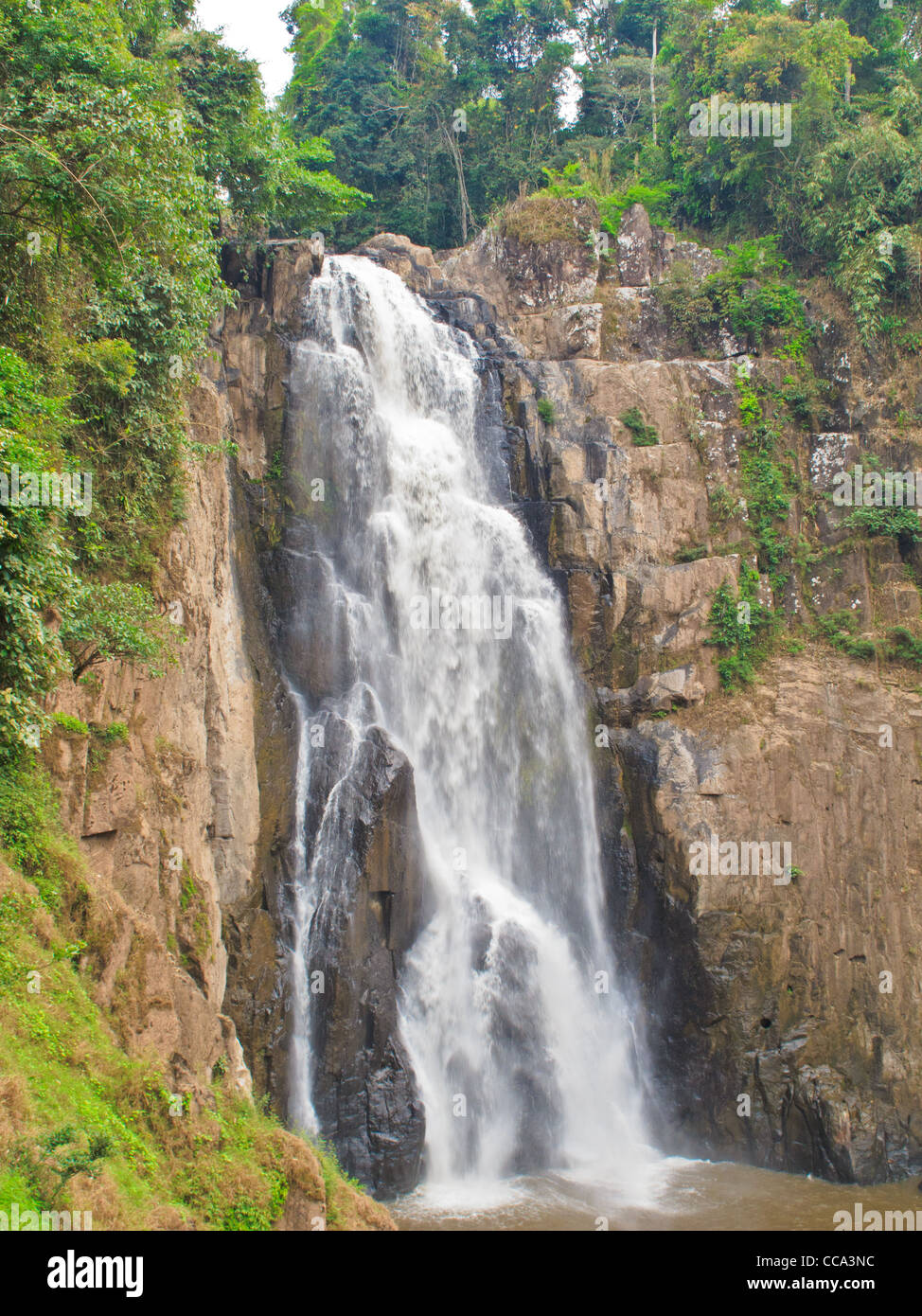 Heo Narok Cascade dans le parc national Khao Yai, Thaïlande Banque D'Images