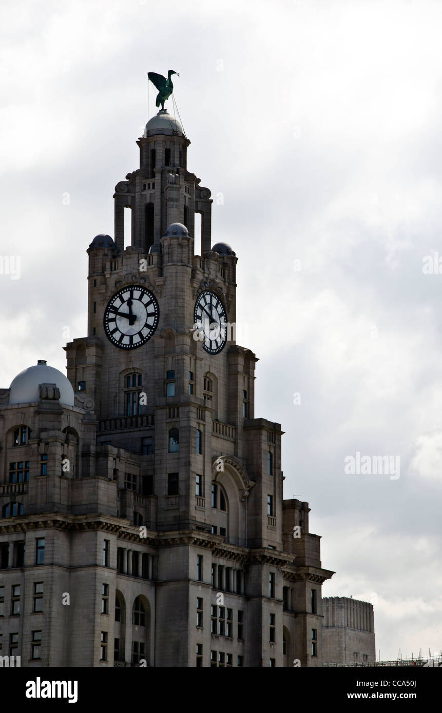 Tour de l'horloge sur le Liver Building, Liverpool, Angleterre. Banque D'Images