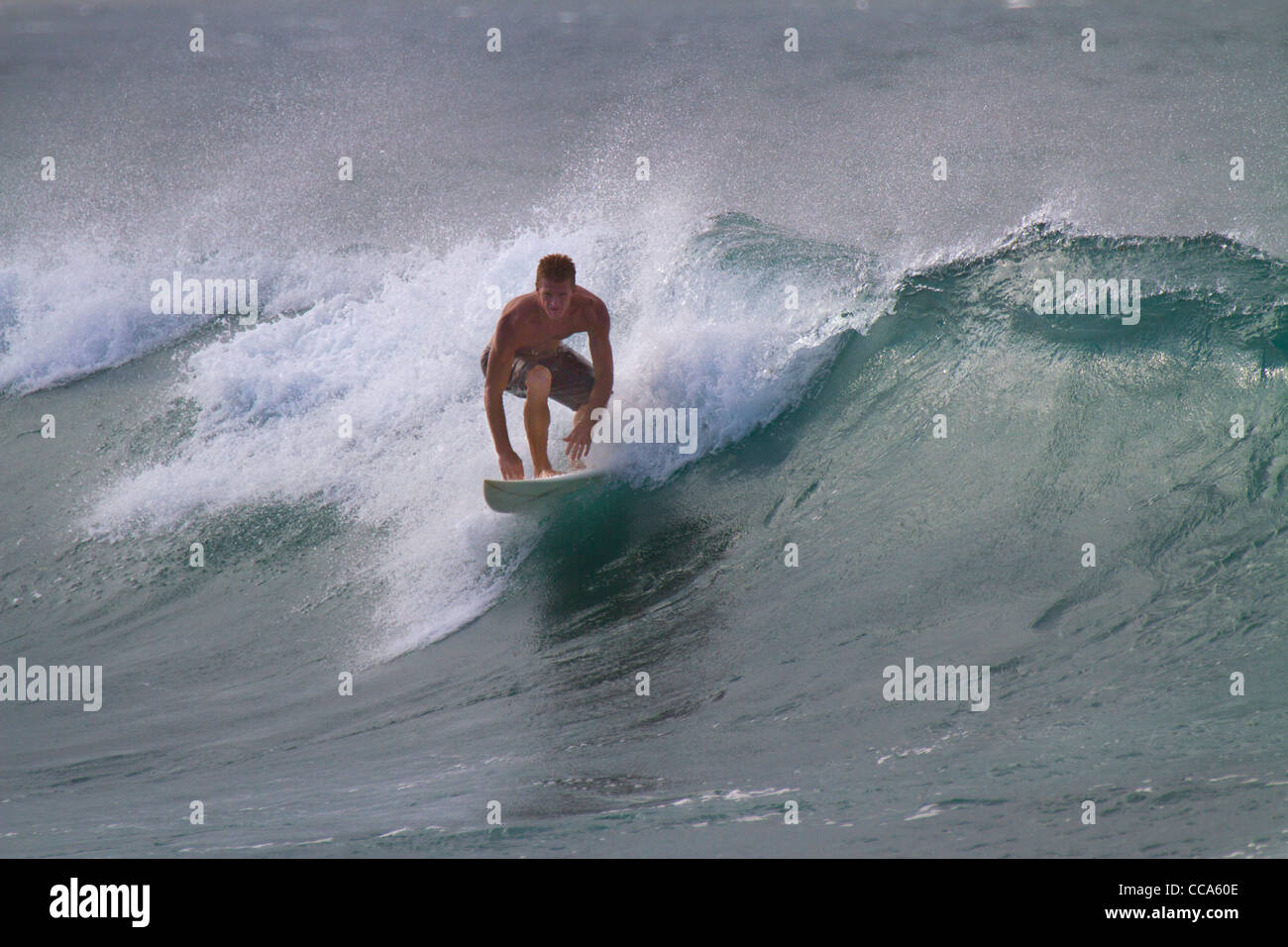 Surfeurs de Ho'okipa Beach, Maui, Hawaii. Banque D'Images