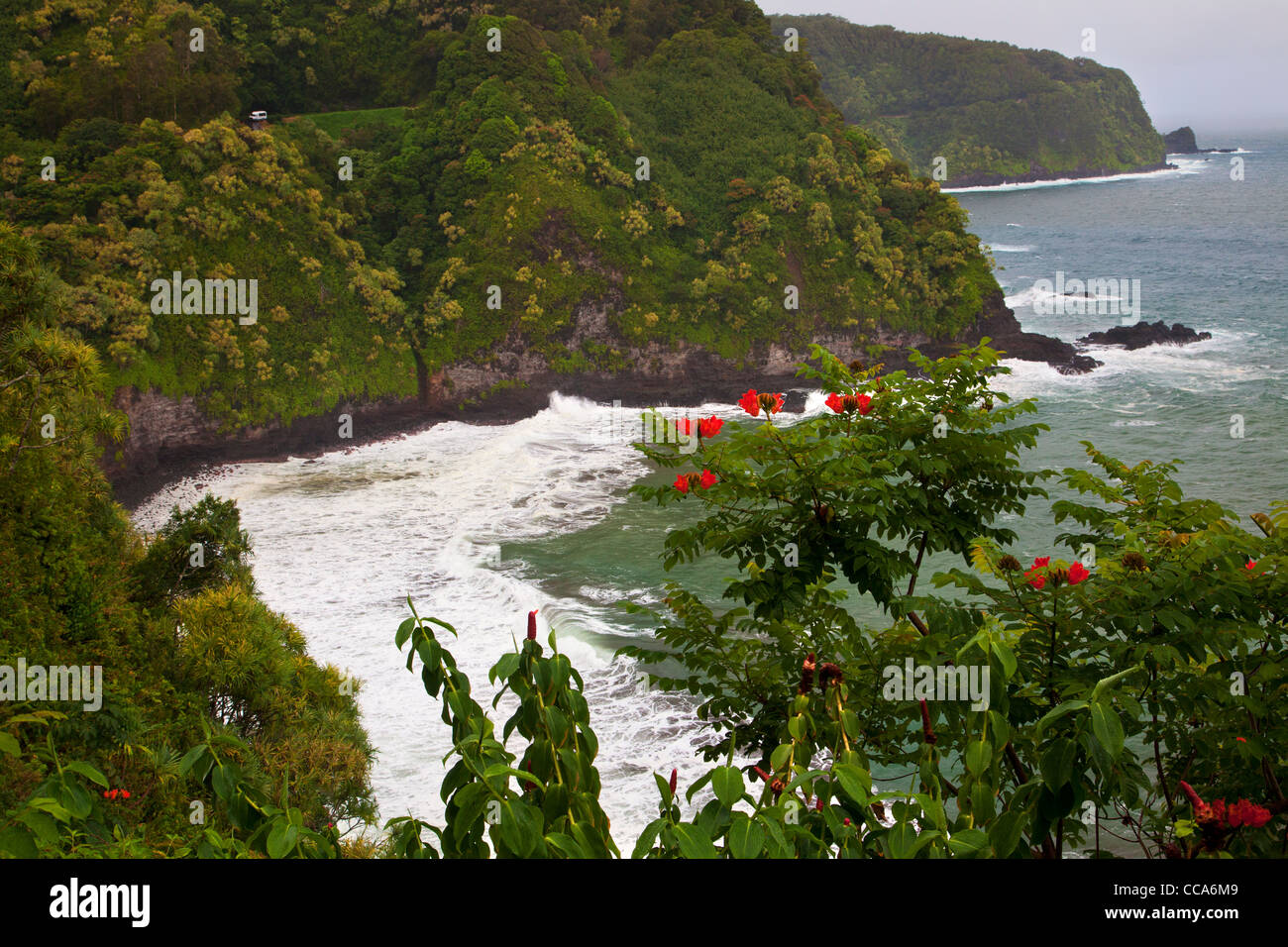 Sur l'Autoroute, Près de l'Hana Hana, Maui, Hawaii. Banque D'Images